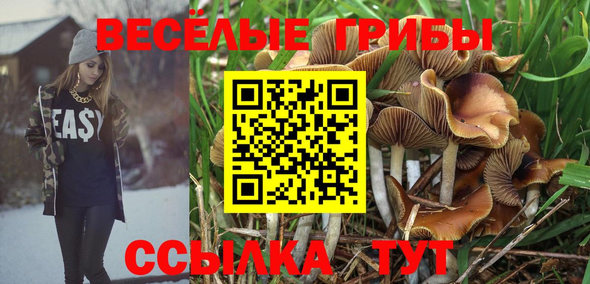 Галлюциногенные грибы Cubensis  Галлюциногенные грибы прущие грибы  Новочебоксарск  Вход с VPN 