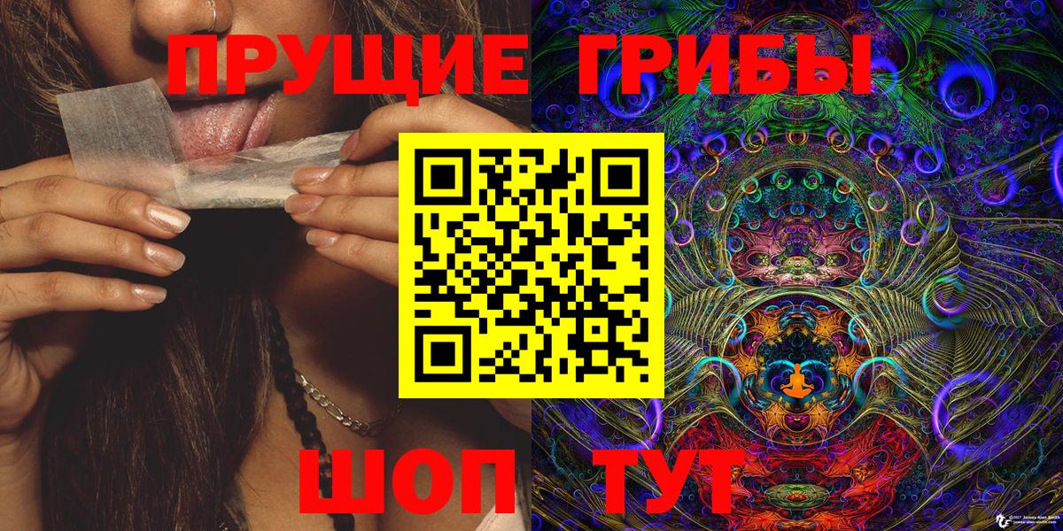 Галлюциногенные грибы Psilocybe Новочебоксарск